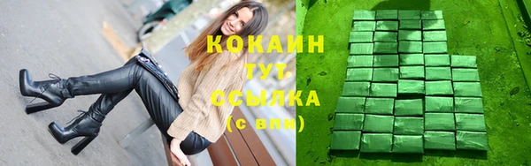дмт Нягань