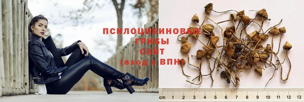 каннабис Няндома