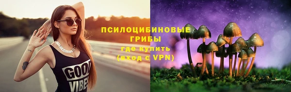 Альфа ПВП Новозыбков