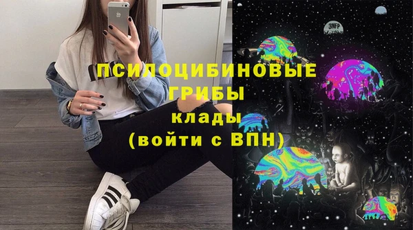 гидра Новодвинск