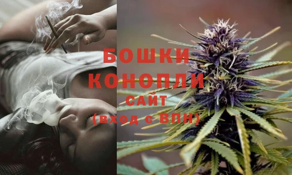 Альфа ПВП Новозыбков